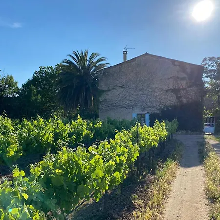 Country house Mas Vigneron