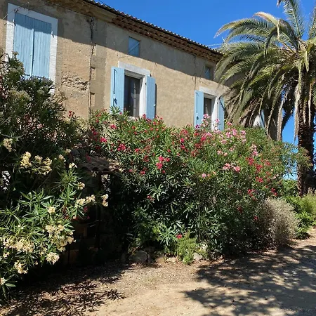 Mas Vigneron Puicheric