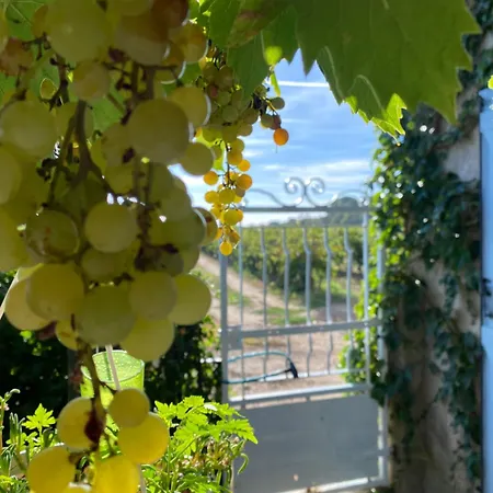 Mas Vigneron * Puicheric