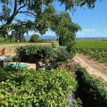 Mas Vigneron Puicheric