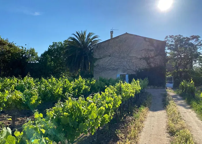 Hétvégi ház Mas Vigneron