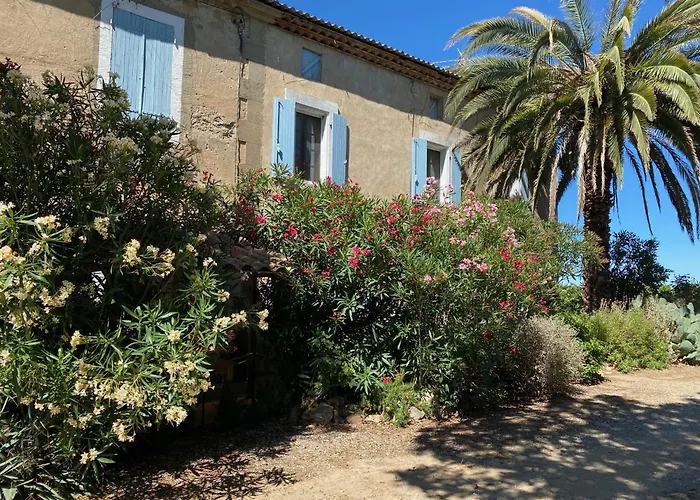 Mas Vigneron Puicheric