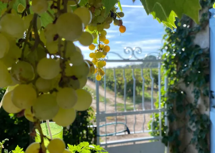 Mas Vigneron * Puicheric