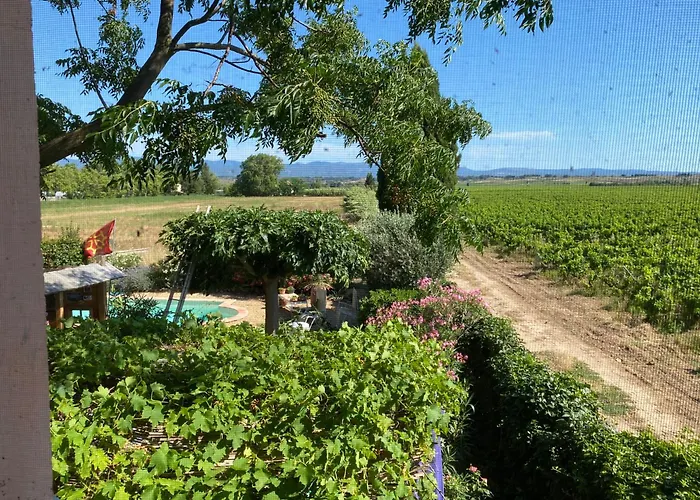 Mas Vigneron Puicheric